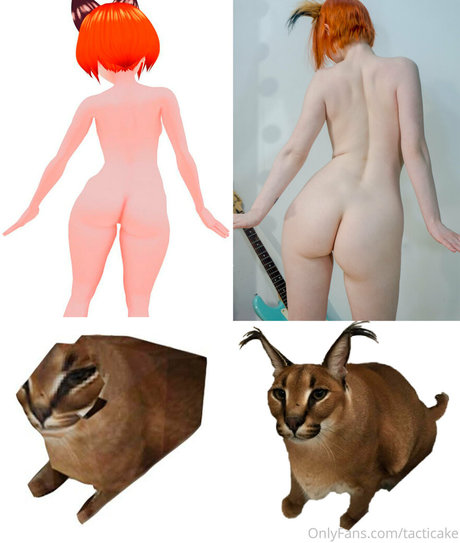 tacticake art model photo