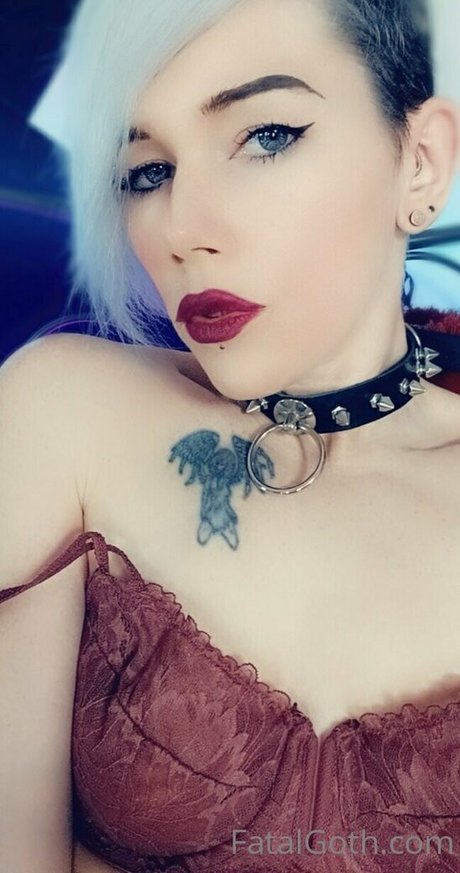 meaty pussy onlyfans xxx gallery