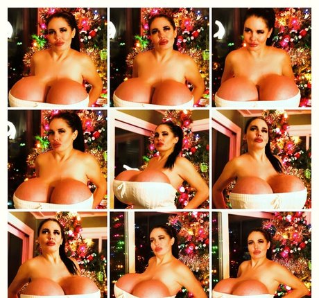 foxymenagerieverre Profile Photo