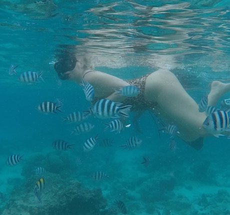 camping onlyfans top gallery