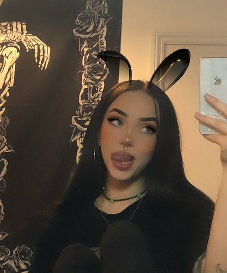 Jensteviexo model top img