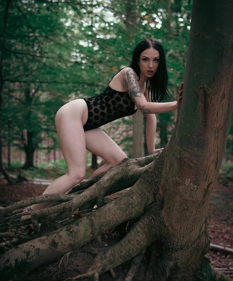 Jensteviexo top model image