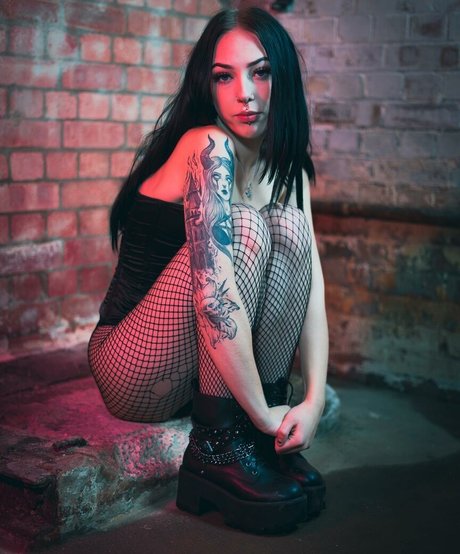 Jensteviexo model top image