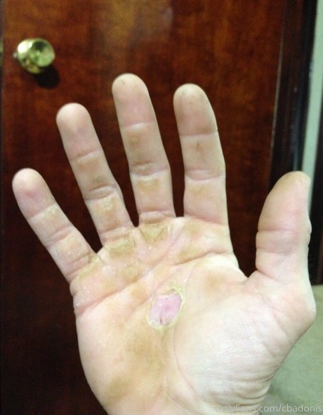 cbadonis adult star picture