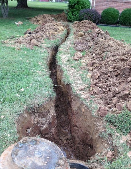 cbadonis free star galleries