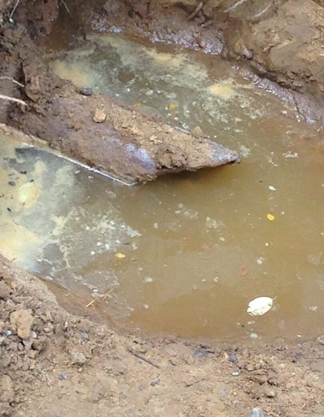 cbadonis free actress pictures