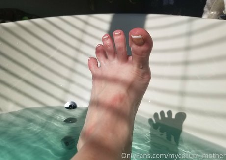 mycelium mother free model galleries