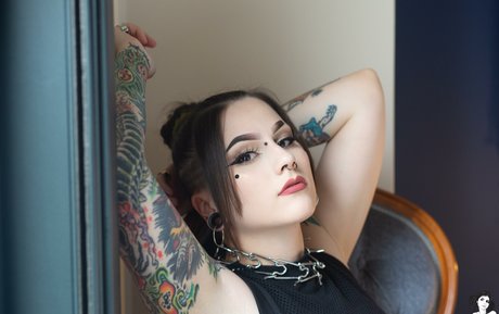 Douji exclusive star gallery