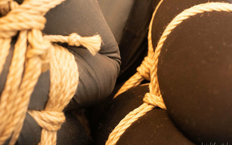 dojolifestyle erotic pornstar picture