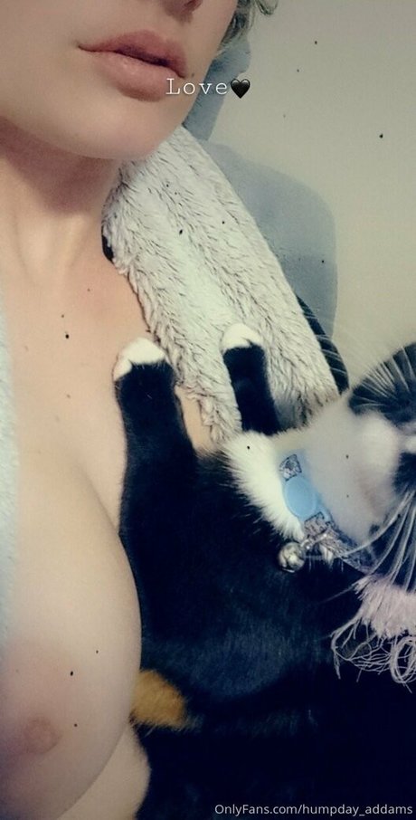 humpday addams star erotic image