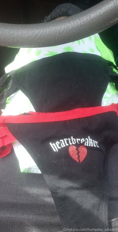 humpday addams Photo Gallery