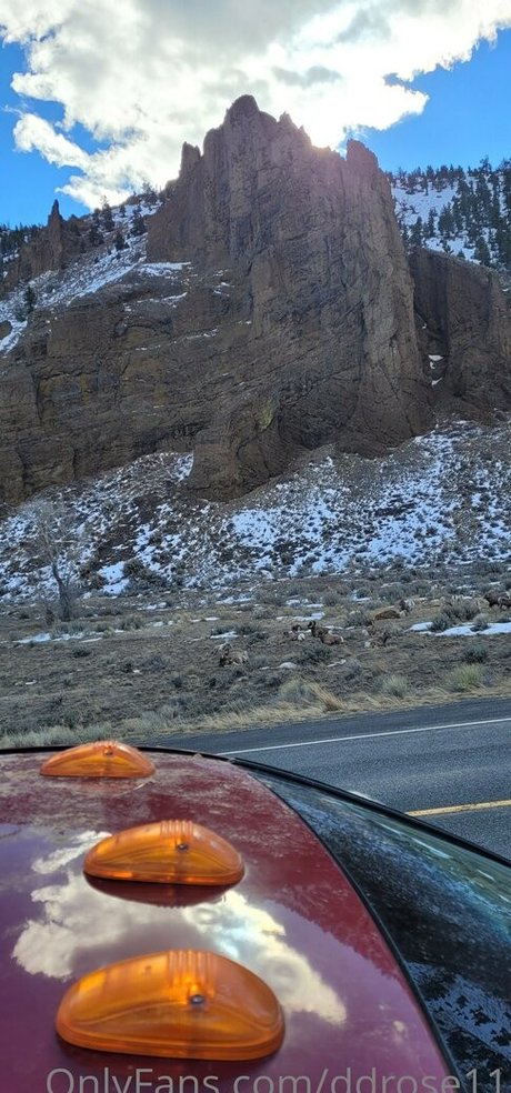 ddrose11 pornstar top image