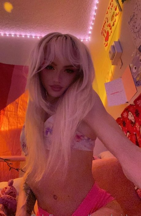 tayscheiderr star best pictures