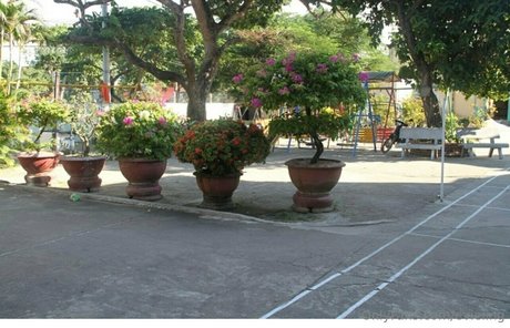 evieling naked model picture