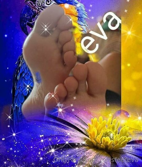 missfeeteva star beautiful archive