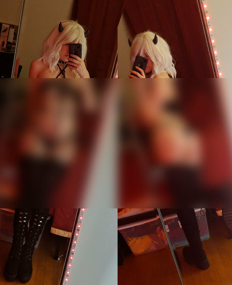 lvl1kat star free photos