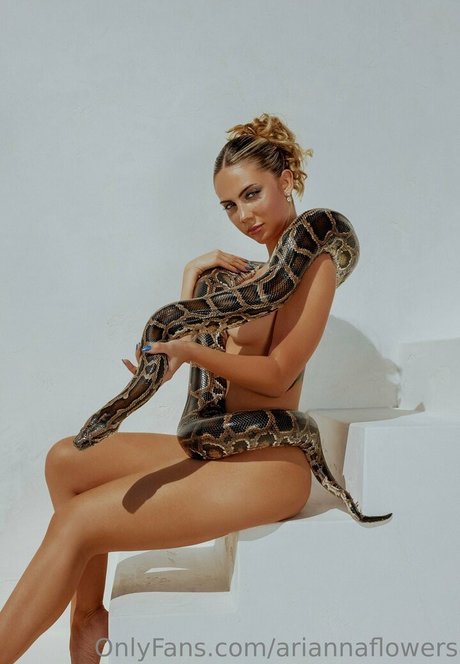 Arianna Flowers pornstar pretty archive