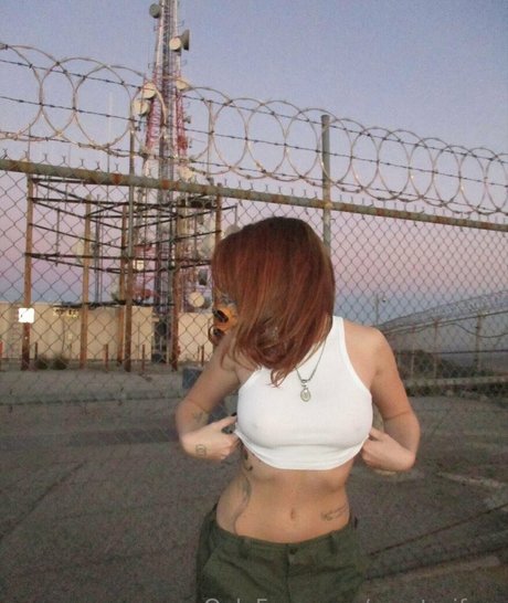 renatarifree Photo Gallery