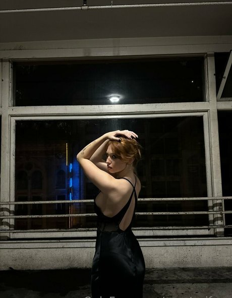 renatarifree hd pornstar archive