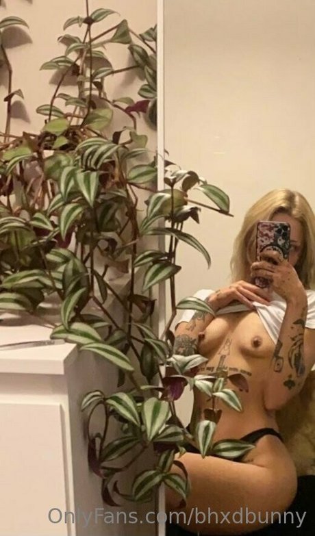 bhxdbunny best model pics