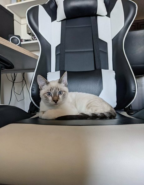 sweet nymph model naked photos