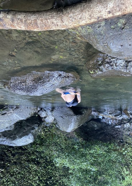 thecurvyqueen01 porn star galleries