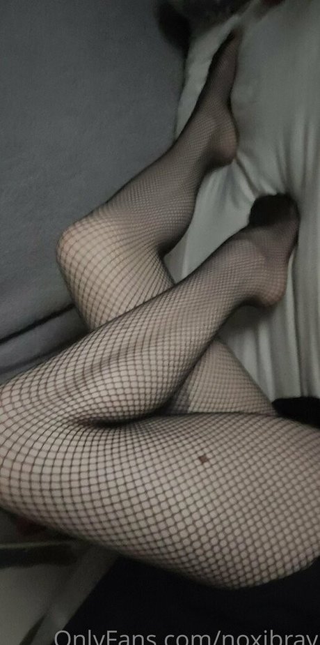 noxibray star perfect galleries