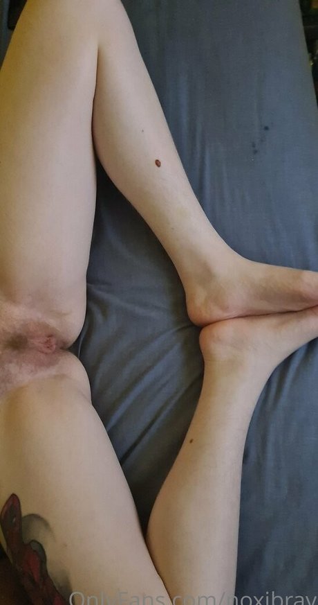 noxibray star beautiful galleries