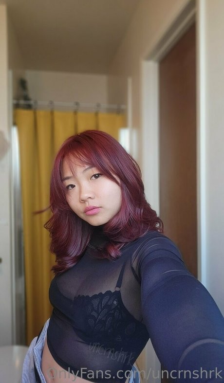 Uncrnshrk model best img