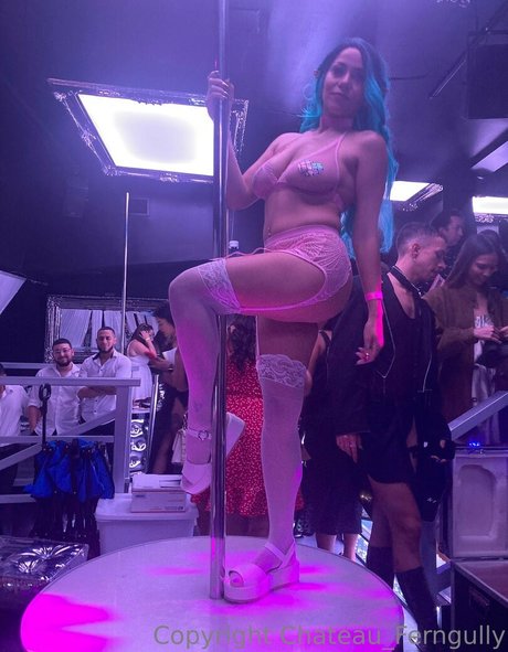 chateau ferngully erotic star pictures