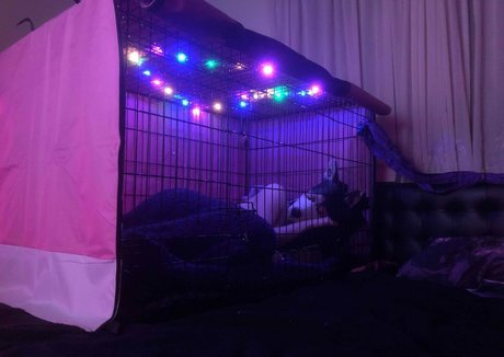 flossiepuppie star xxx pictures