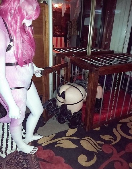 thick trans onlyfans free nude archive