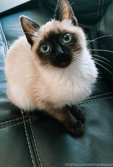 pov milf onlyfans art porn pics