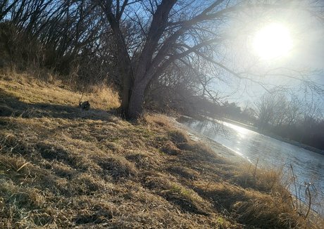 ur succubus gf star art picture