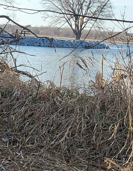 ur succubus gf high quality pornstar pictures