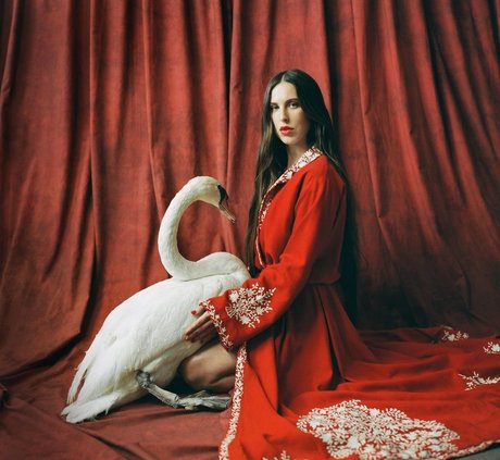 bbw blowjob onlyfans porno pic