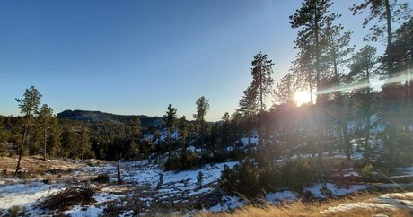 Emberwolf model hot gallery