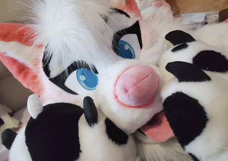 dirtydotti xxx actress img