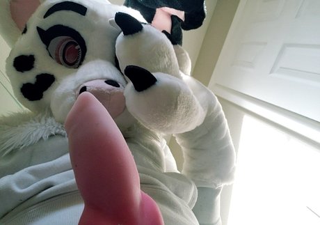 dirtydotti free pornstar photo