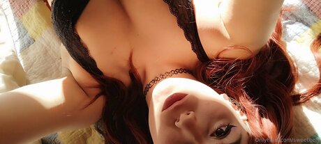 sweeteely art star images