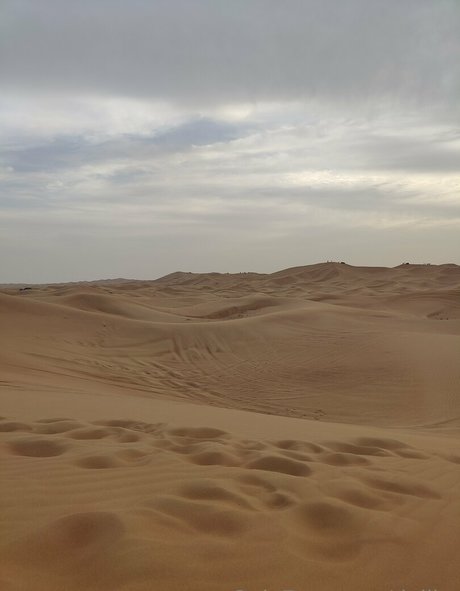 dejiko perfect pornstar photos