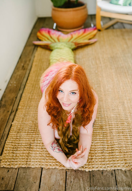 avalonfey sex model photo