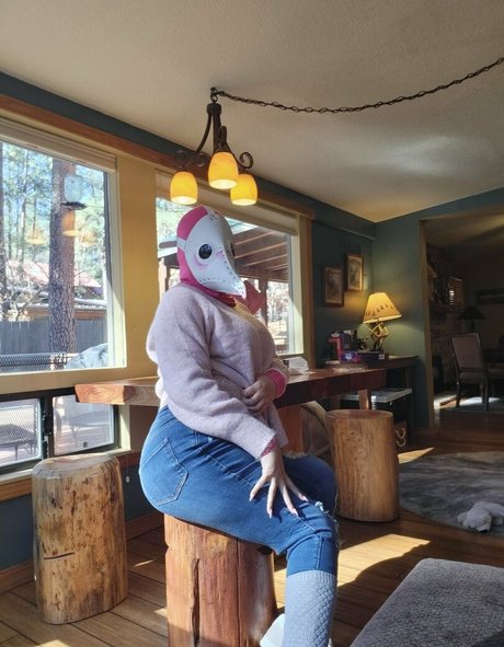 PDoctress Photo Gallery