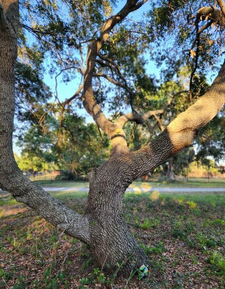 kenzielynn adult star galleries