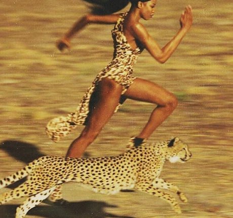 Gatina 22 porn star images