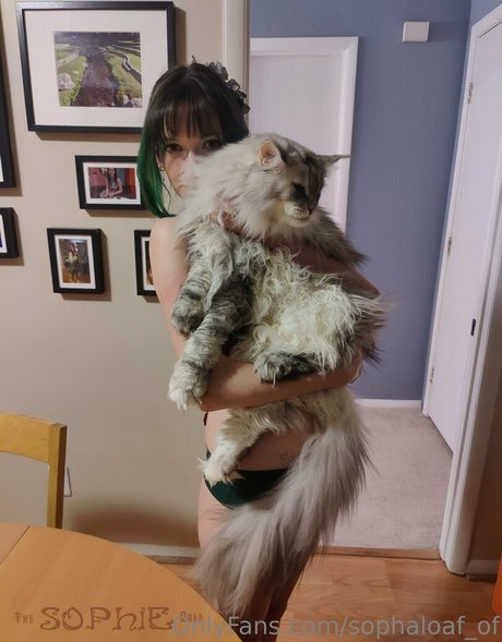 sophaloaf of star best image