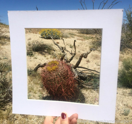 shemale cum in mouth onlyfans art naked archive