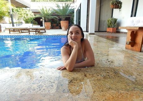 channelfox star archive