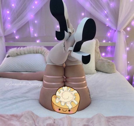 annabellexbunny pretty model photos