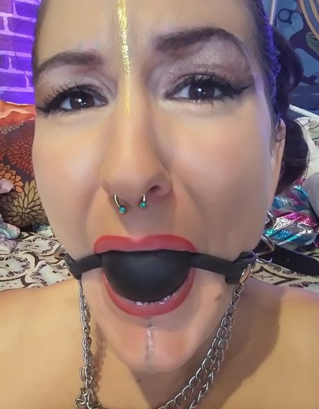 harmonydivine star adult img